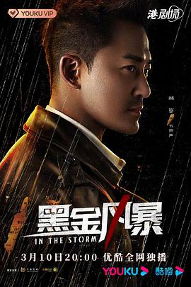 黑金风暴国语第04集