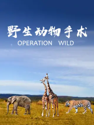野生动物手术第01集