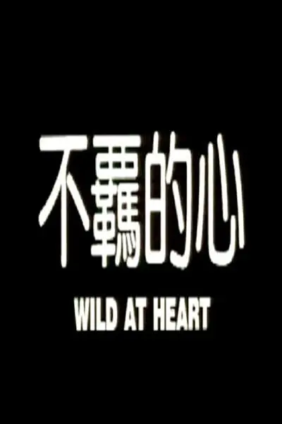 不羁的心(大结局)
