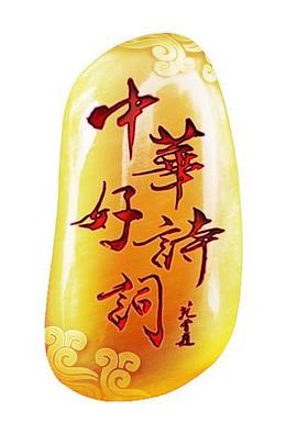 中华好诗词特别节目诗词王中王第08集