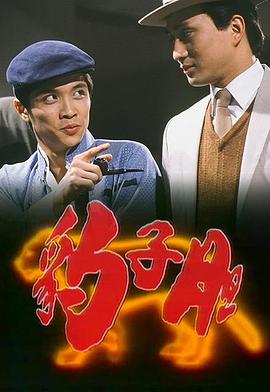 豹子胆国语第13集