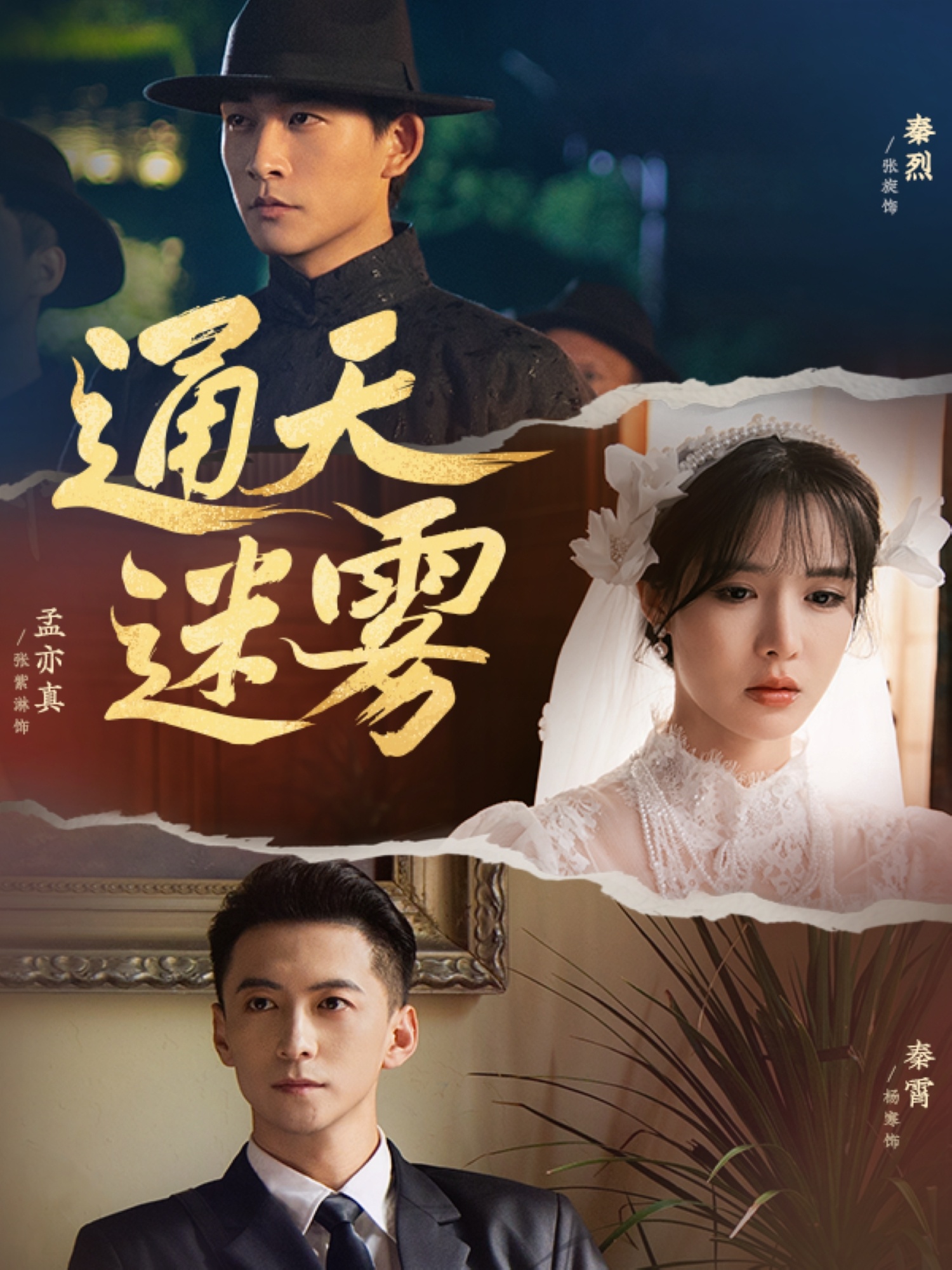 通天迷雾第17集