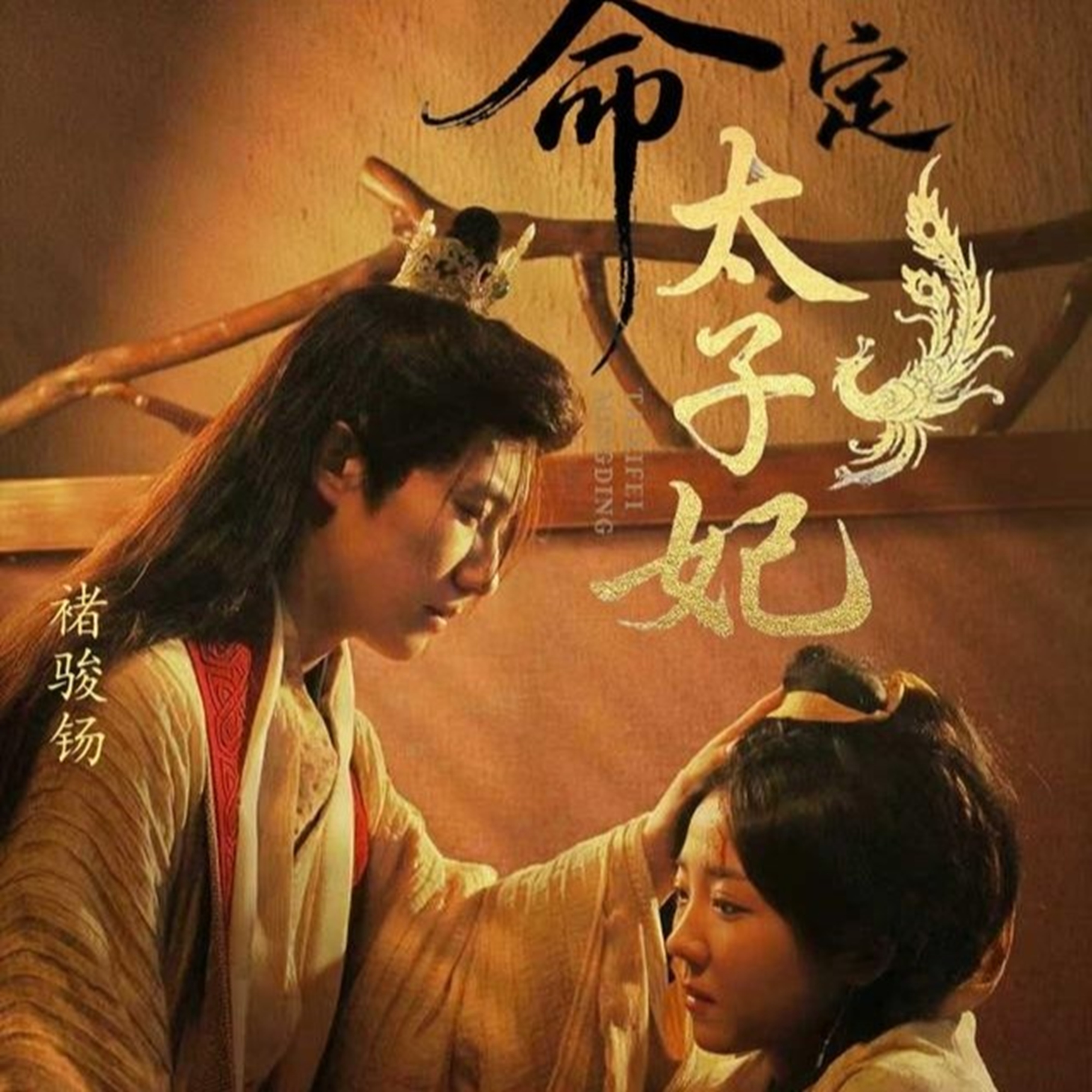 命定太子妃第04集