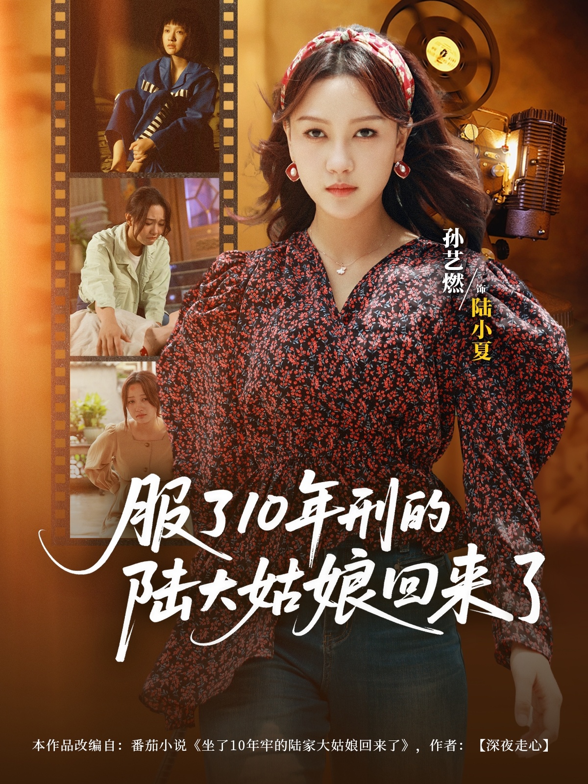 服了10年刑的陆大姑娘回来了第01集