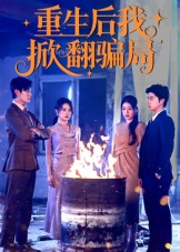 重生后我掀翻骗局第41集