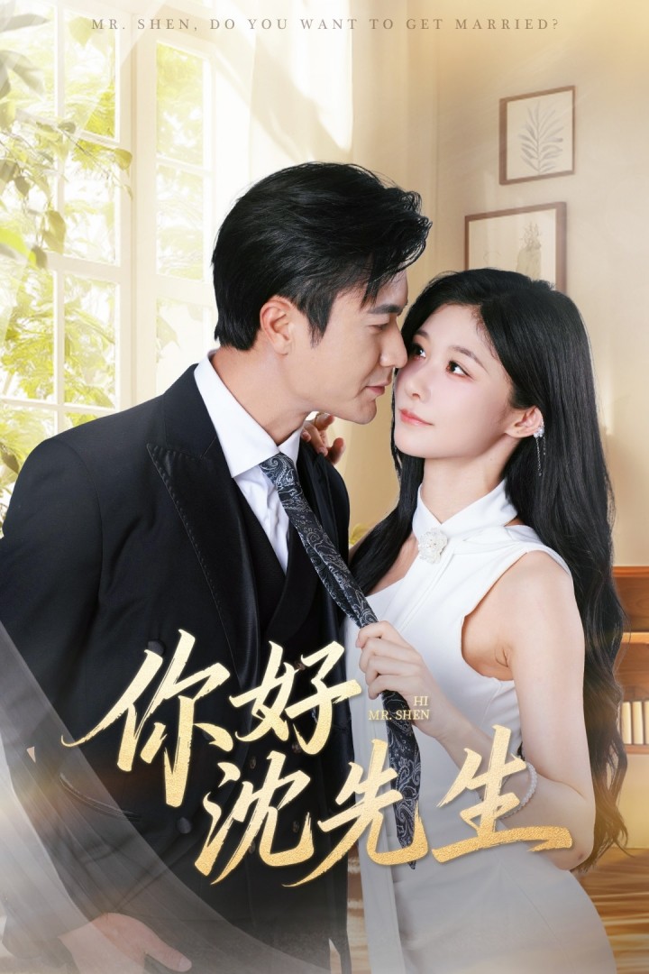 你好沈先生第01集