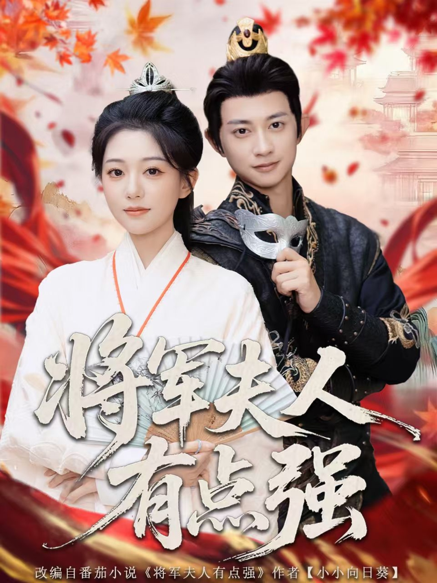 将军夫人有点强第01集