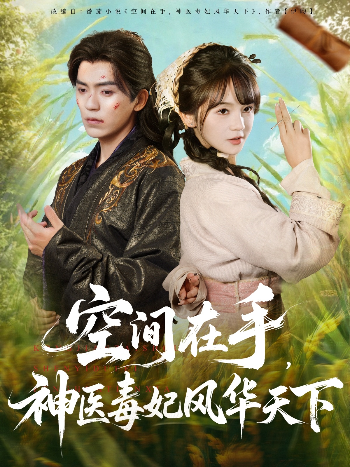 空间在手，神医毒妃风华天下第01集