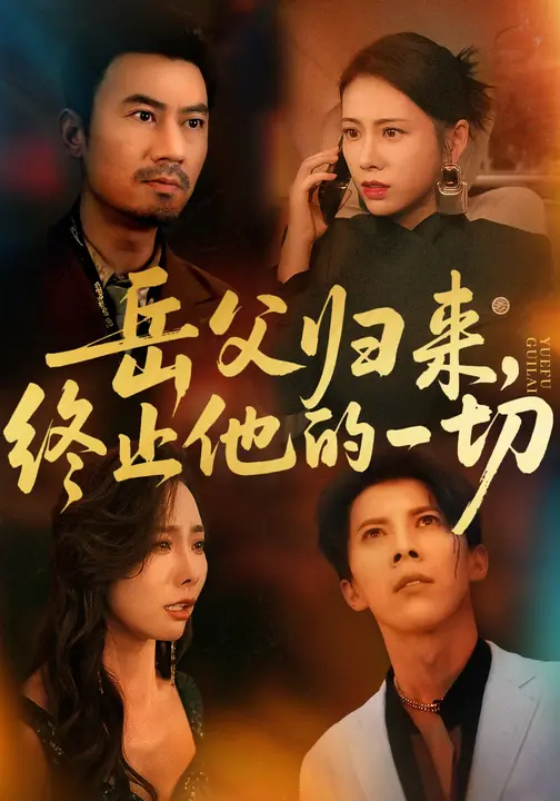 岳父归来，终止他的一切第30集