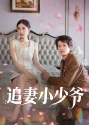 追妻小少爷第01集