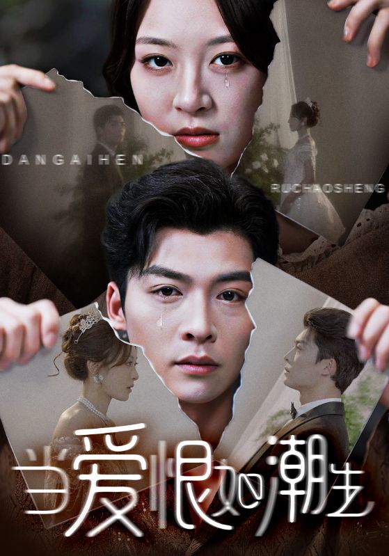 当爱恨如潮生第09集