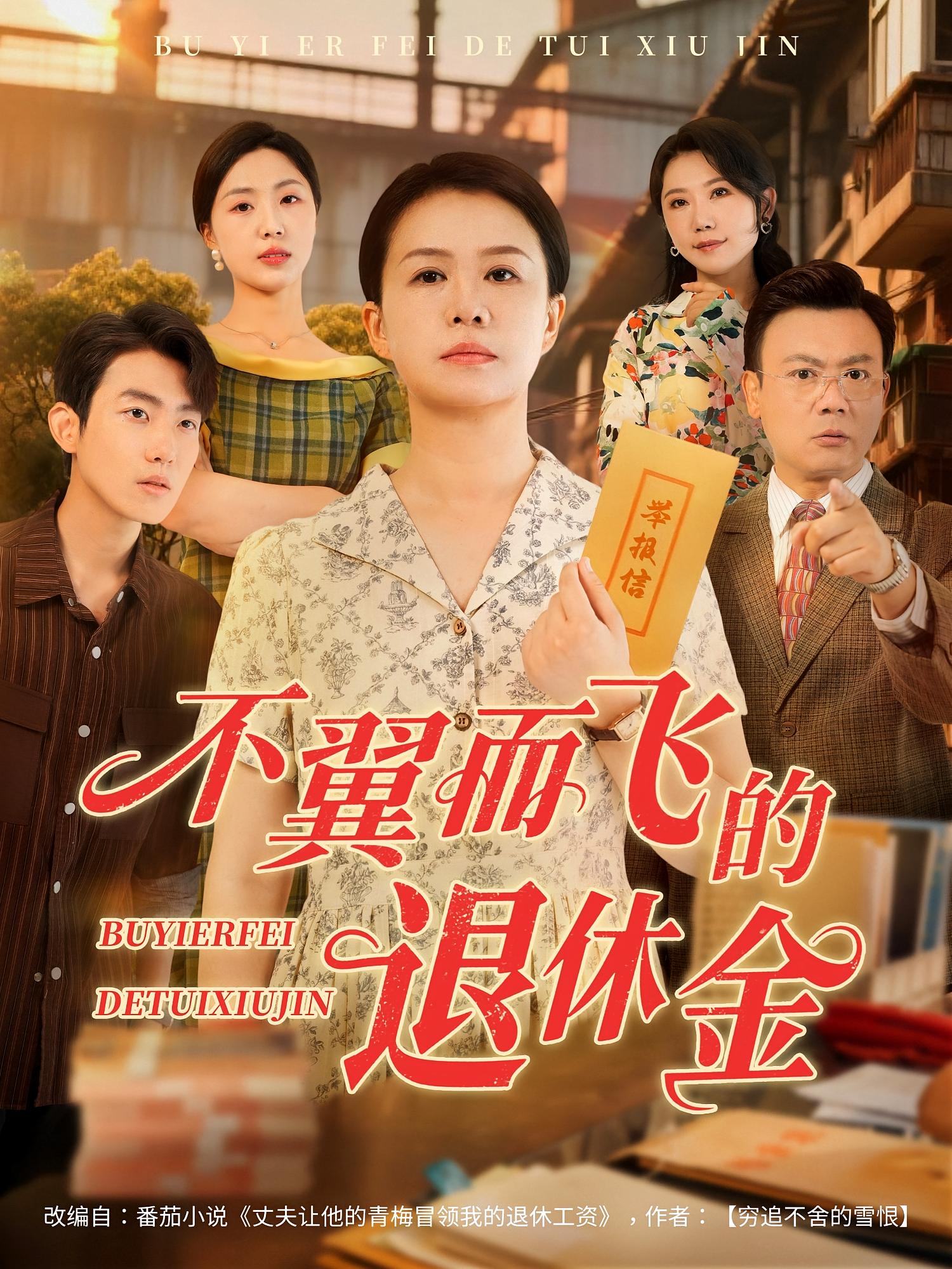 不翼而飞的退休金第20集