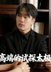 高端的试探太极第13集