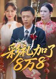 彩礼加了8万8第01集