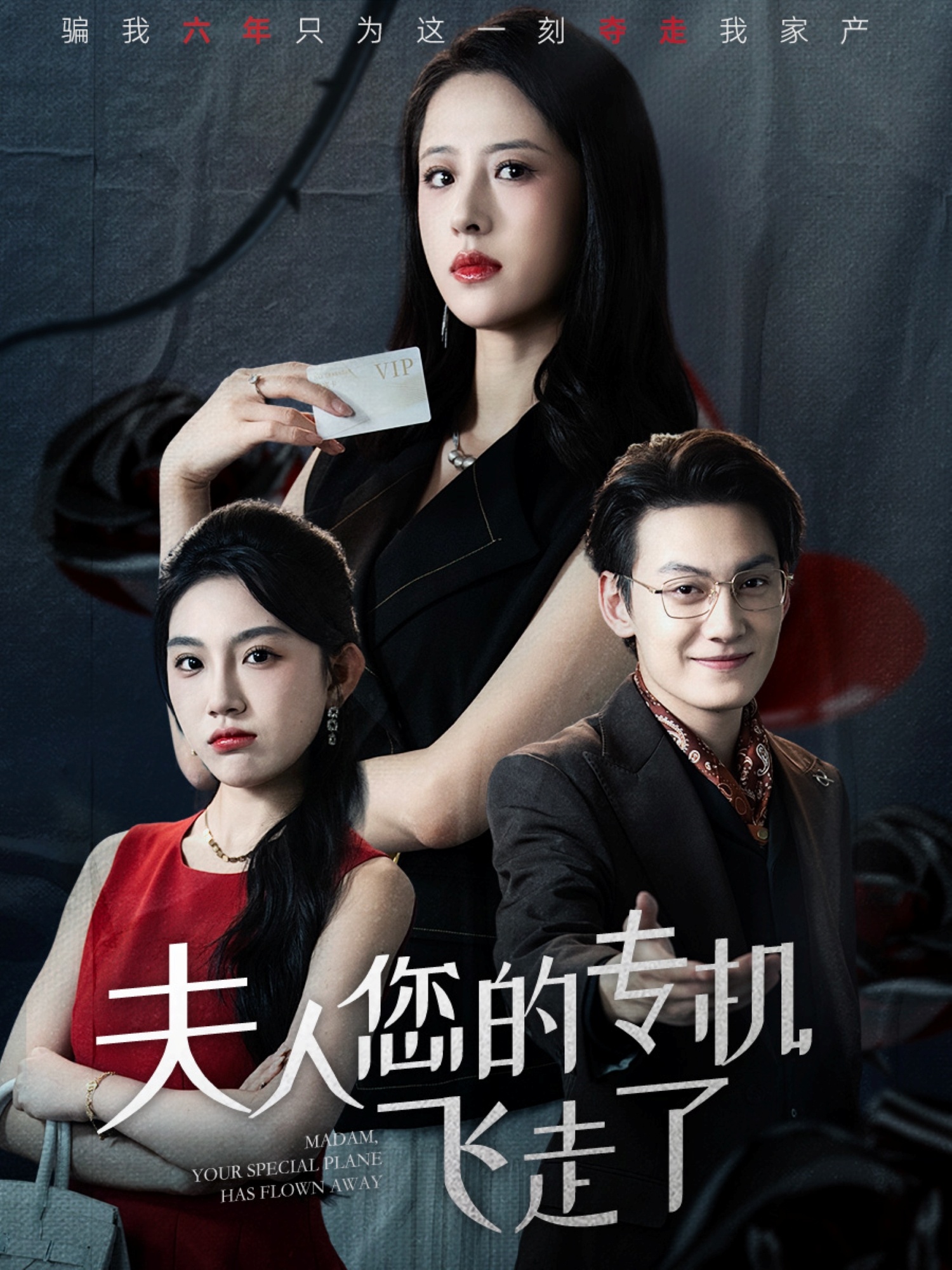 夫人您的专机飞走了第01集