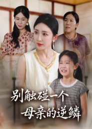 别触碰一个母亲的逆鳞第05集