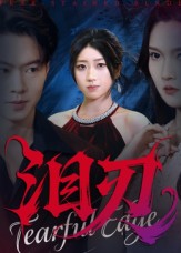 泪刃第22集