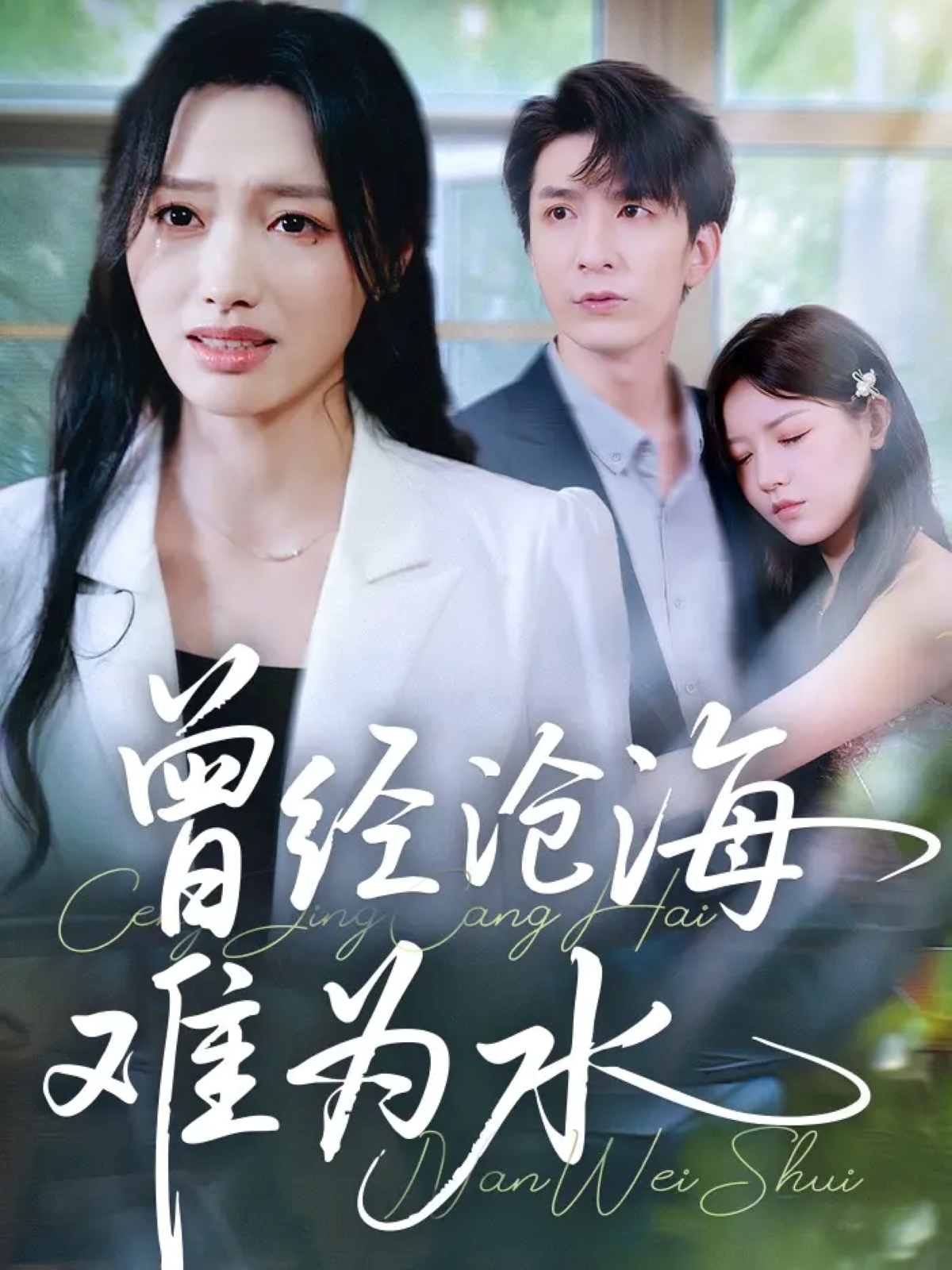 曾经沧海难为水第34集