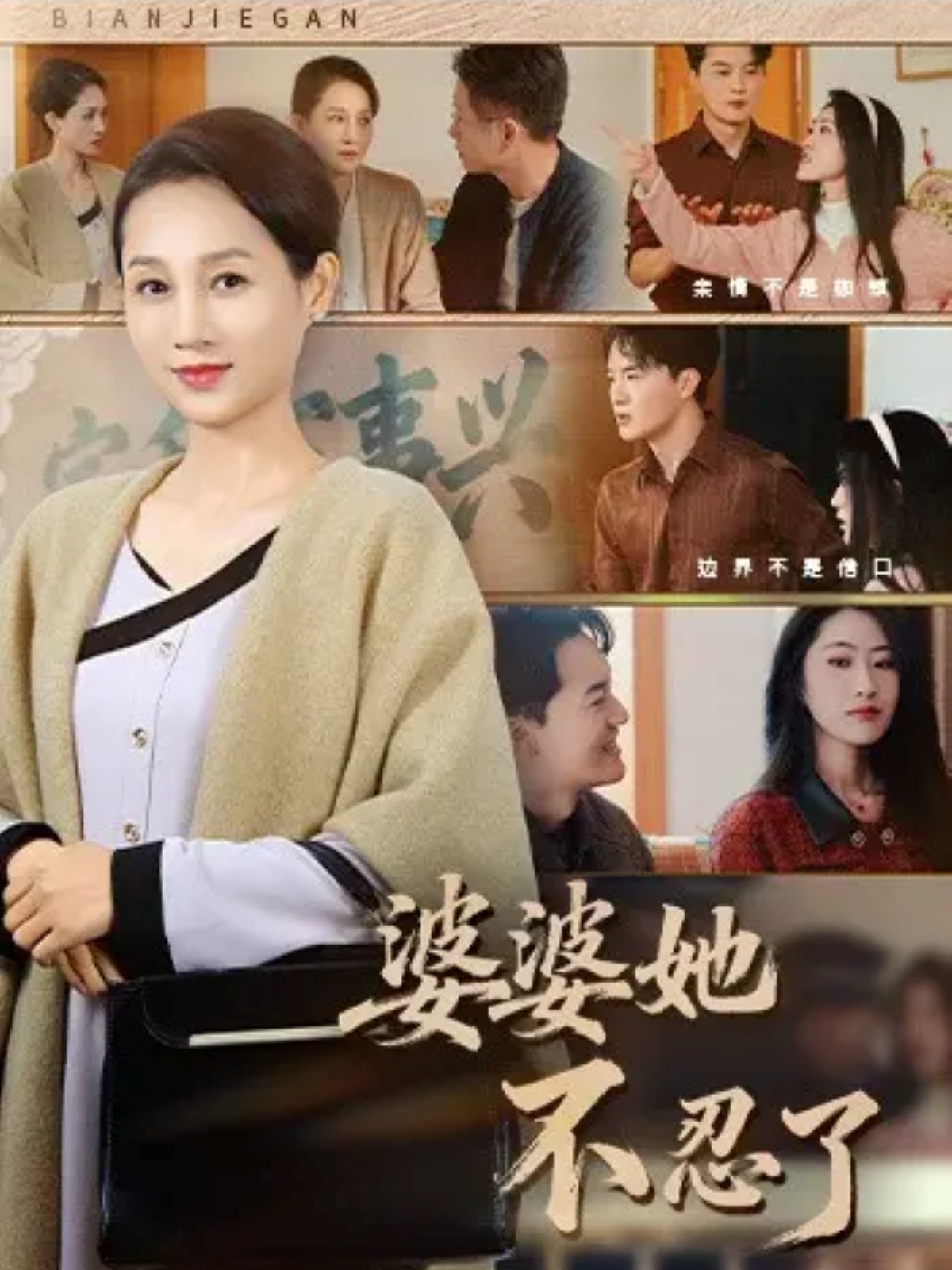 婆婆她不忍了第11集