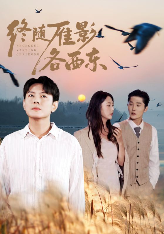 终随雁影各西东第20集