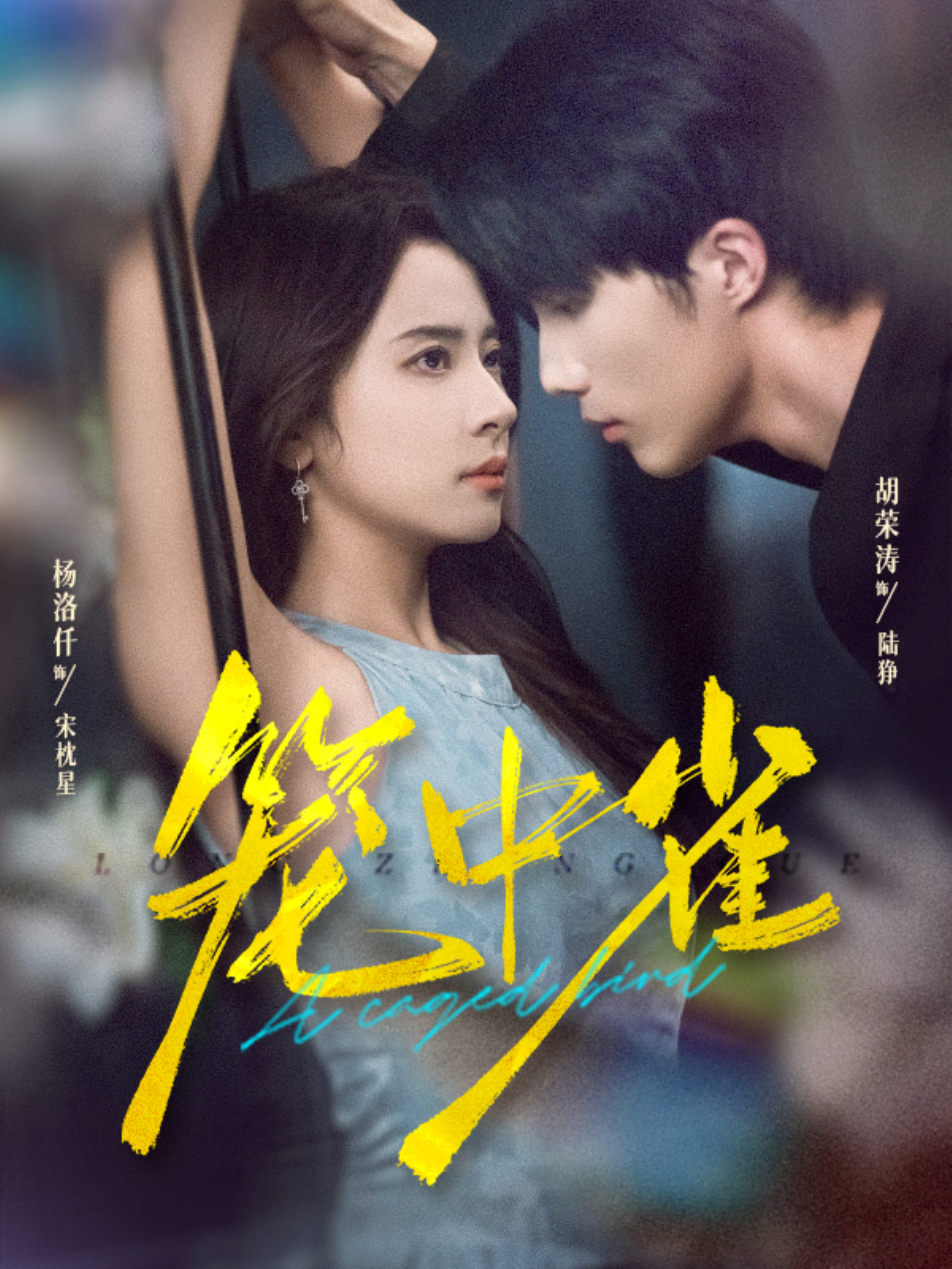 笼中雀第15集