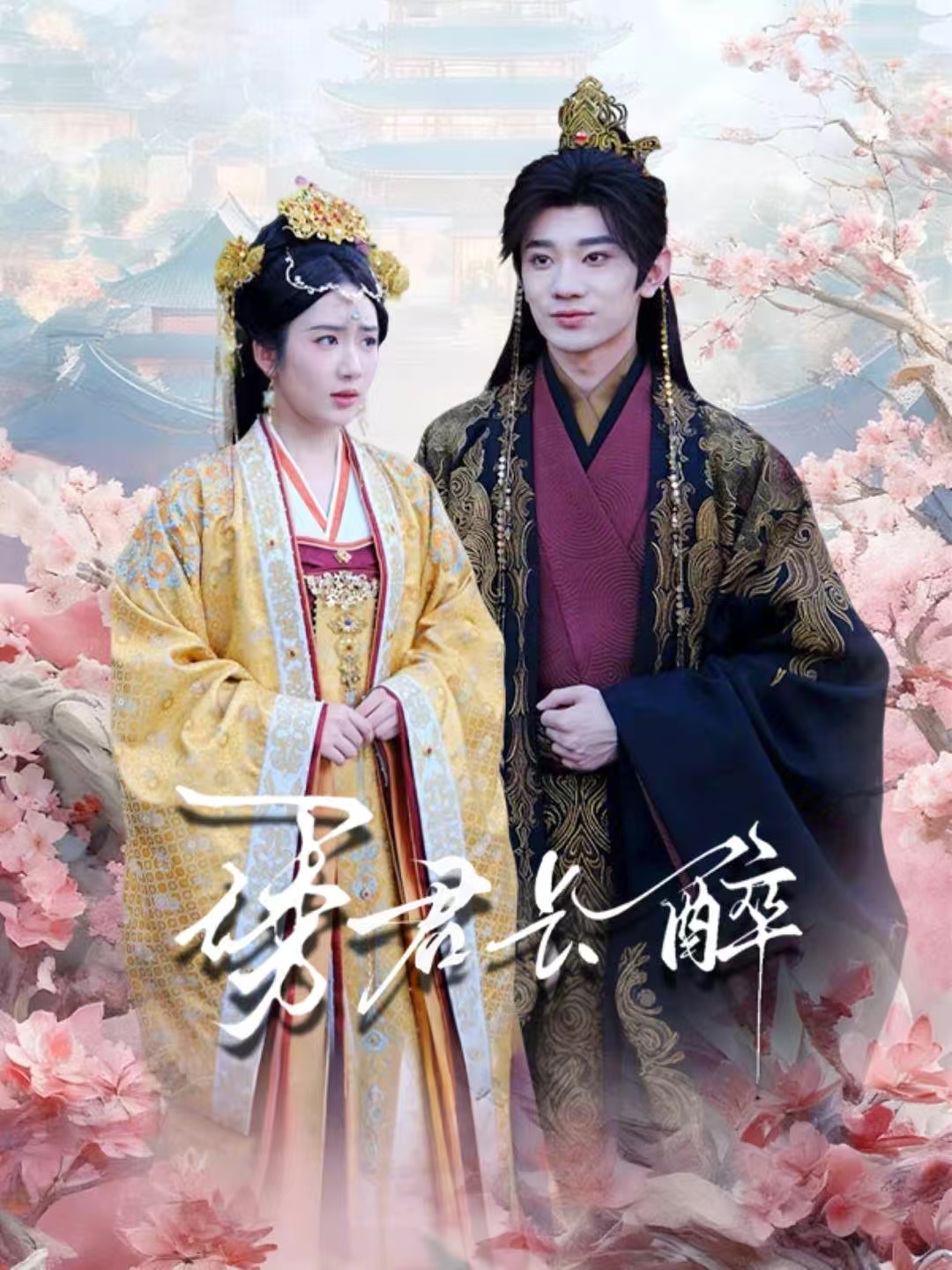 诱君长醉第01集