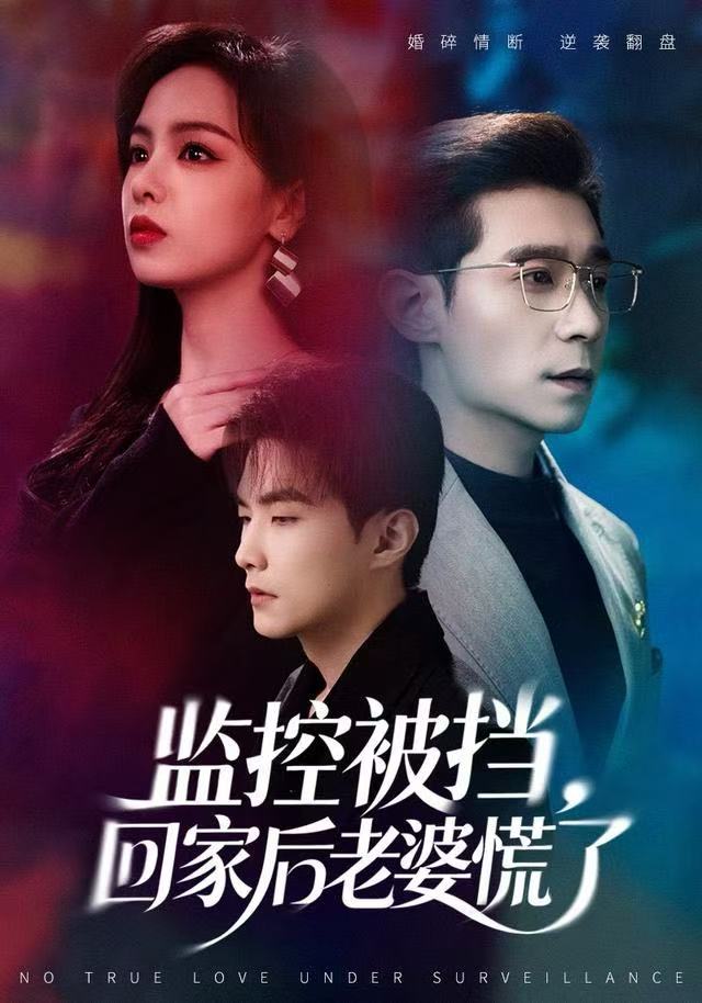 监控被挡，回家后老婆慌了第54集