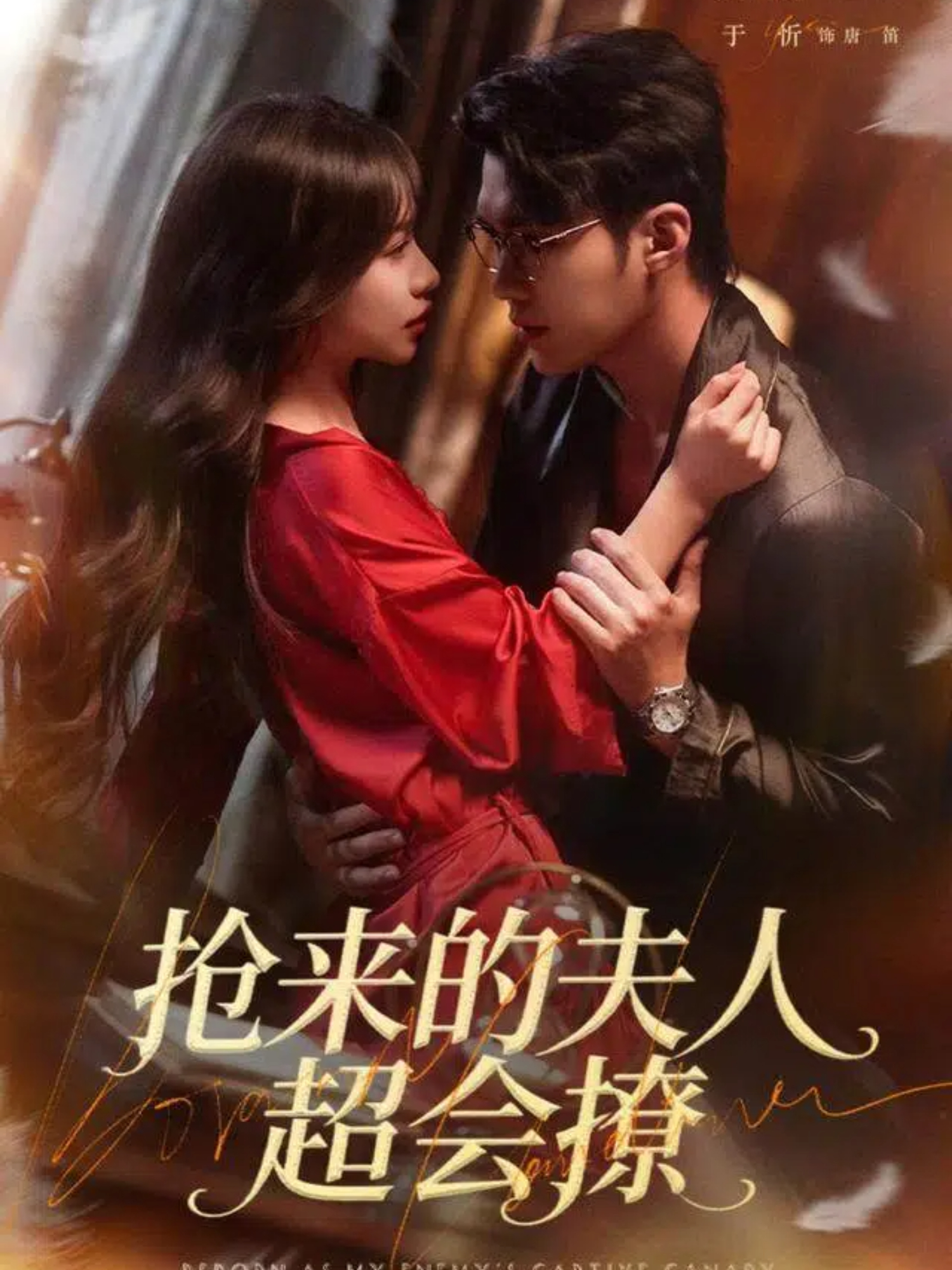 抢来的夫人超会撩第10集