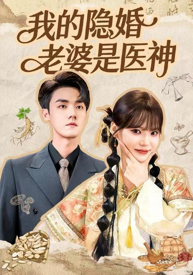 我的隐婚老婆是医神第13集