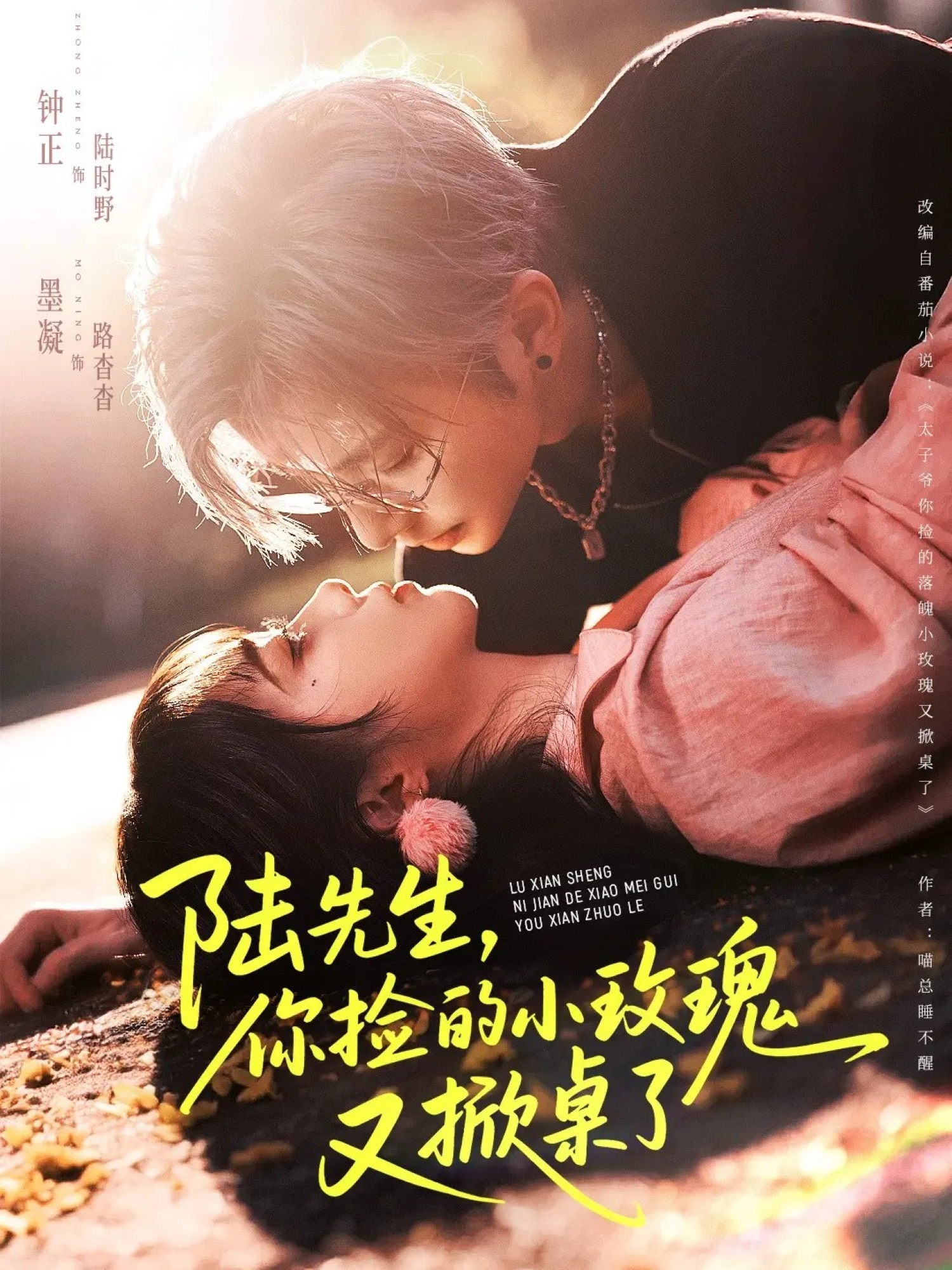 陆先生，你捡的小玫瑰又掀桌了第01集