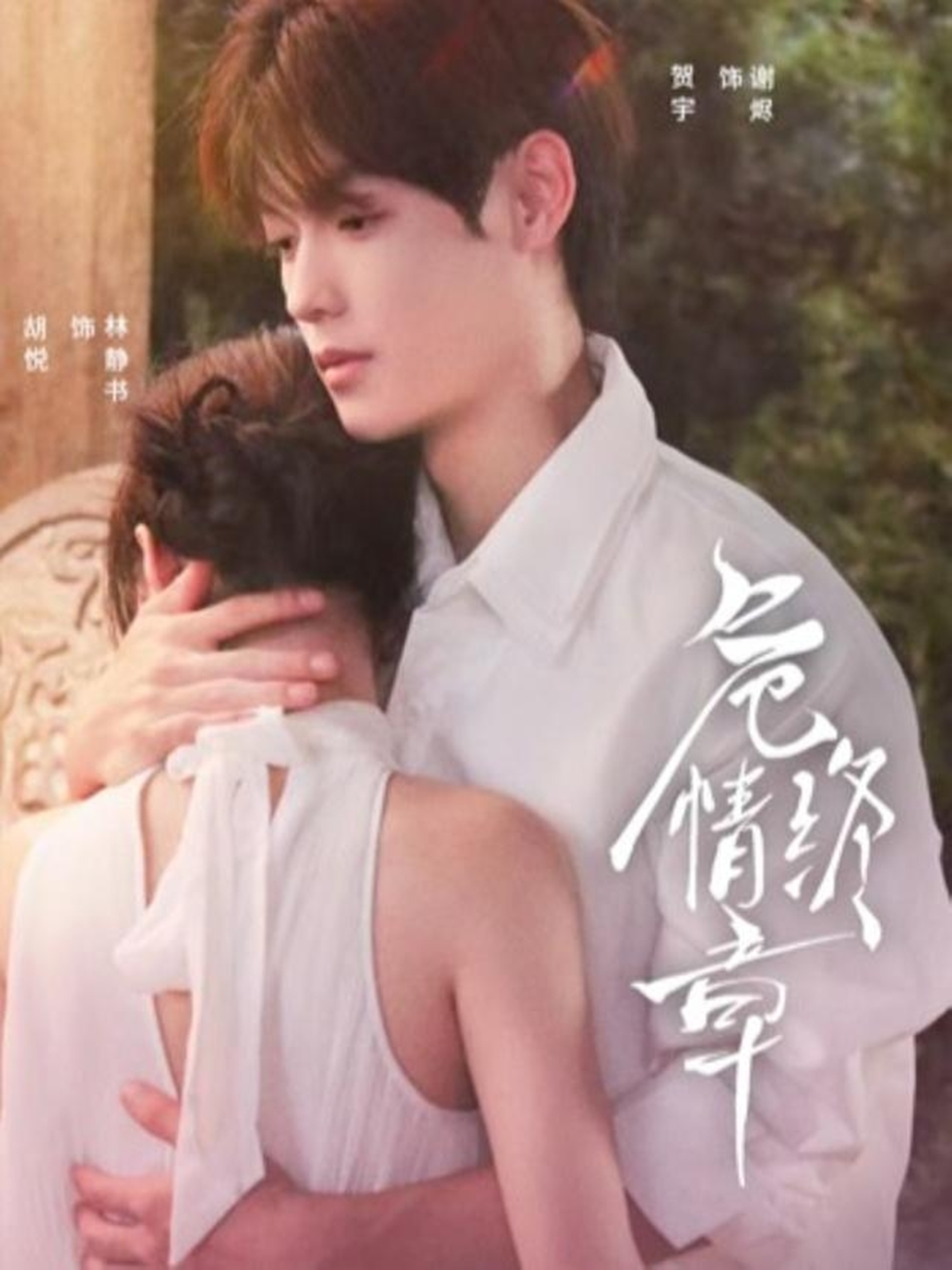危情终章第44集