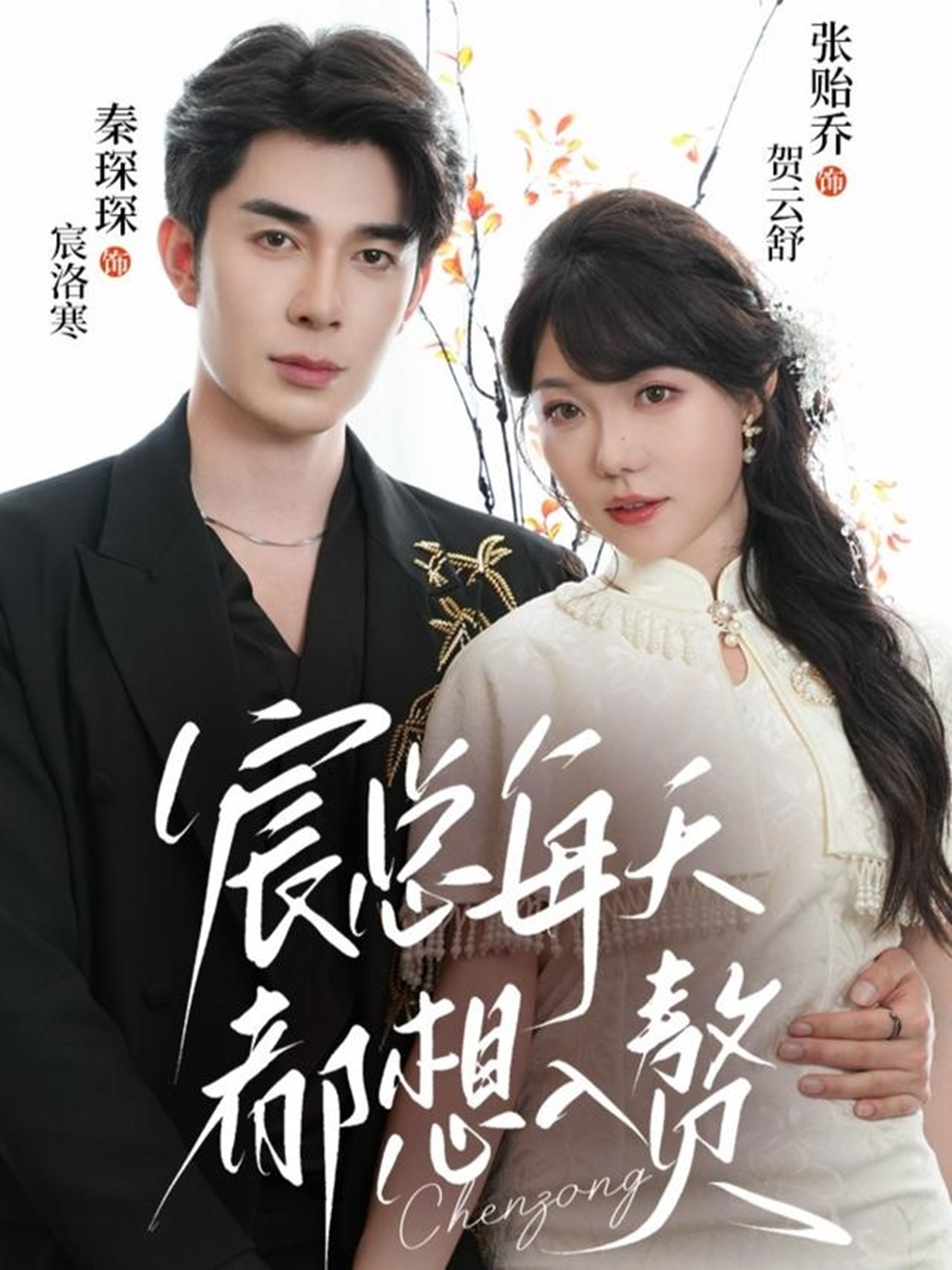 宸总每天都想入赘第09集