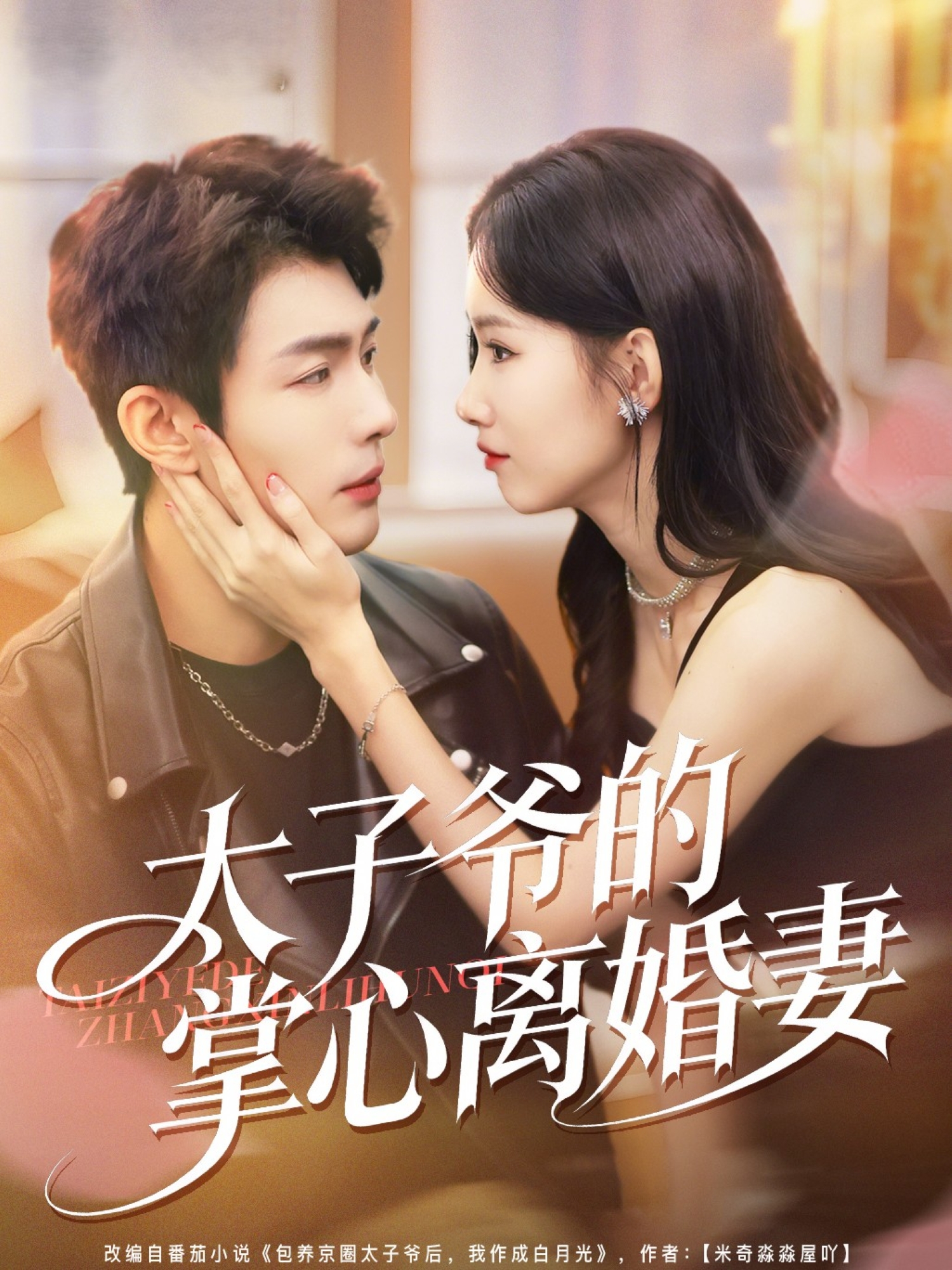 太子爷的掌心离婚妻第01集