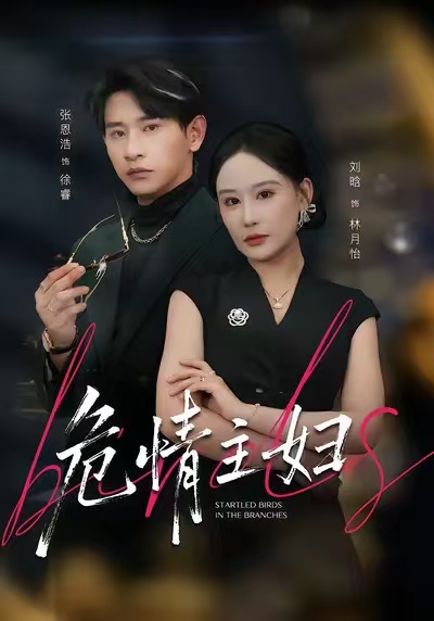 危情主妇第53集