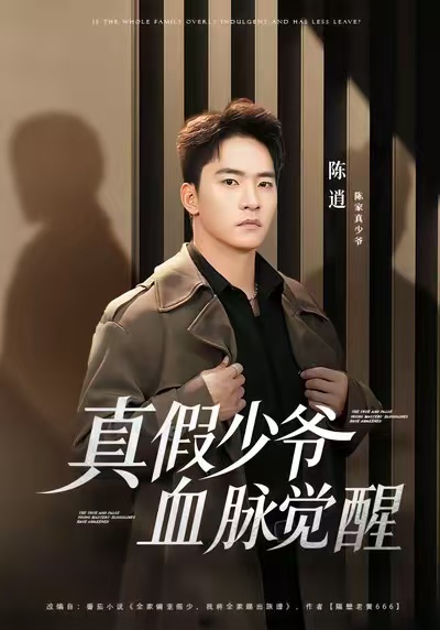 真假少爷血脉觉醒第01集