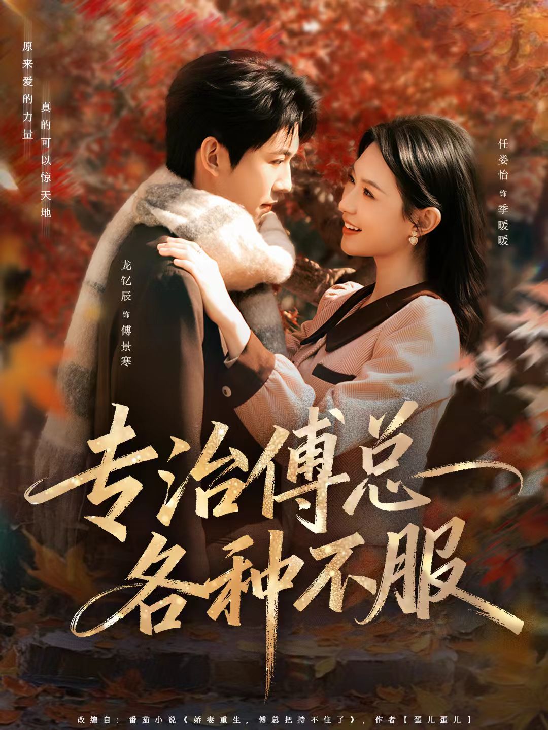 专治傅总各种不服第11集