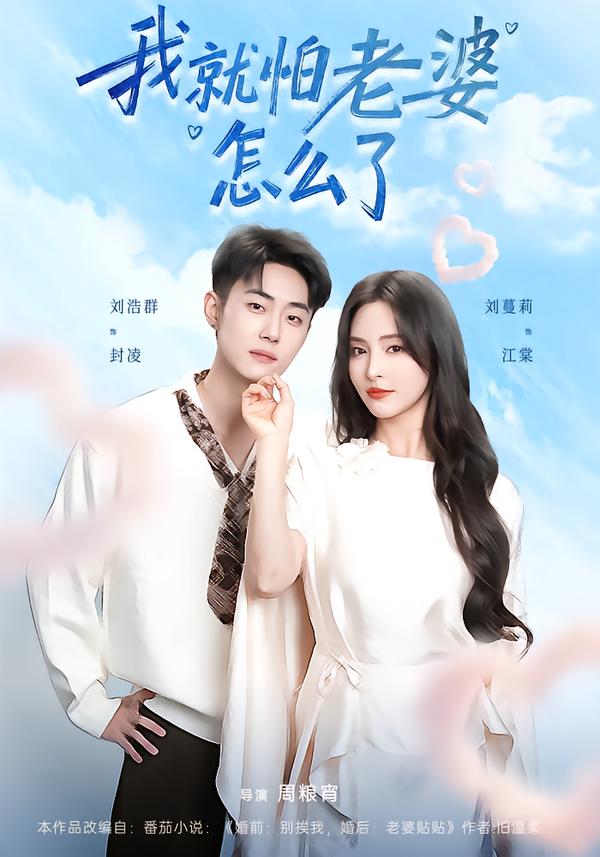 我就怕老婆怎么了第01集