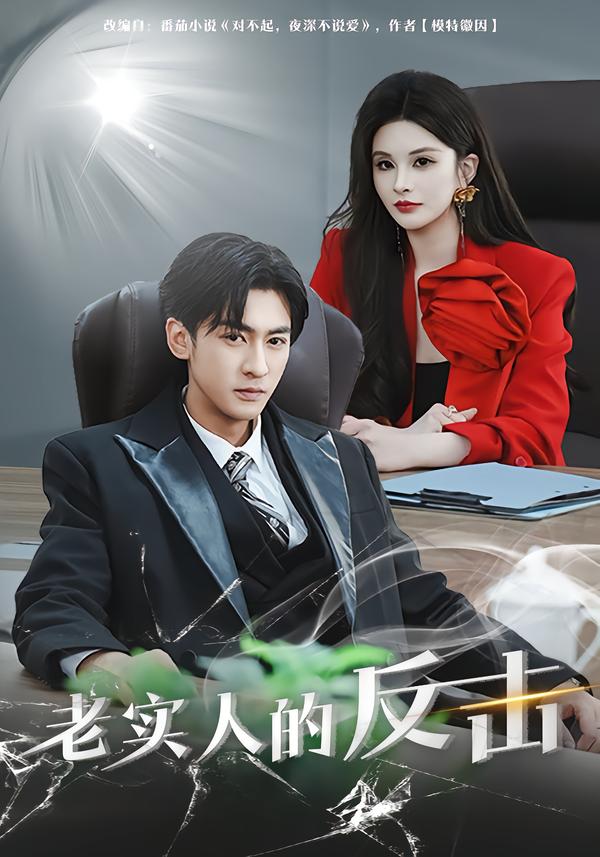 老实人的反击第04集
