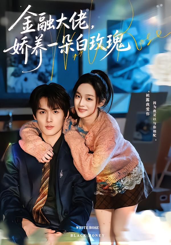金融大佬，娇养一朵白玫瑰第01集