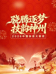 河南卫视2026中国杂技大联欢(大结局)