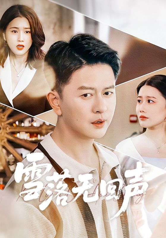雪落无回声第47集