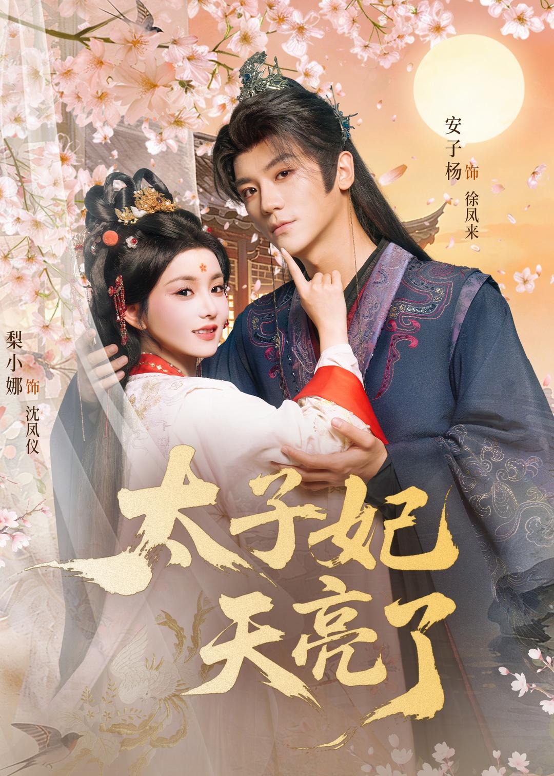 太子妃天亮了第01集