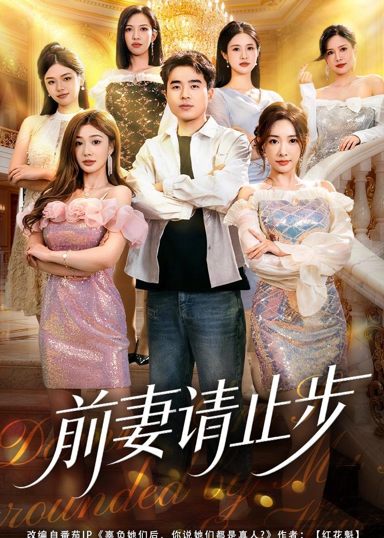 前妻请止步第56集