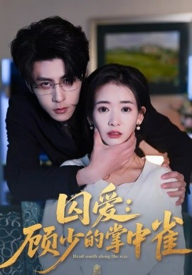 囚爱：顾少的掌中雀第20集