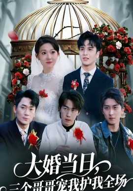 大婚当日，三个哥哥宠我护我全场第01集
