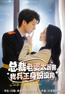 总裁老婆太厉害，我兵王身份没用第45集