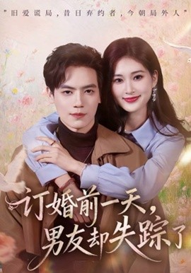 订婚前一天，男友却失踪了第36集