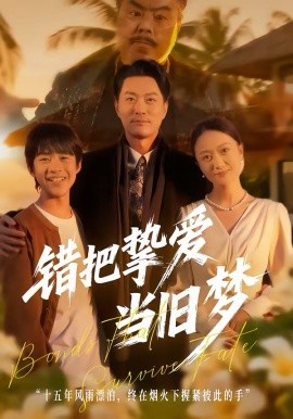 错把挚爱当旧梦第04集