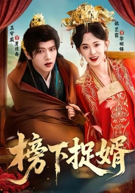 榜下捉婿第09集