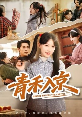 青禾入京第38集
